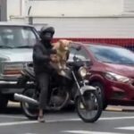 Motociclista transportando cachorro em moto chama atenção em avenida de Piracicaba