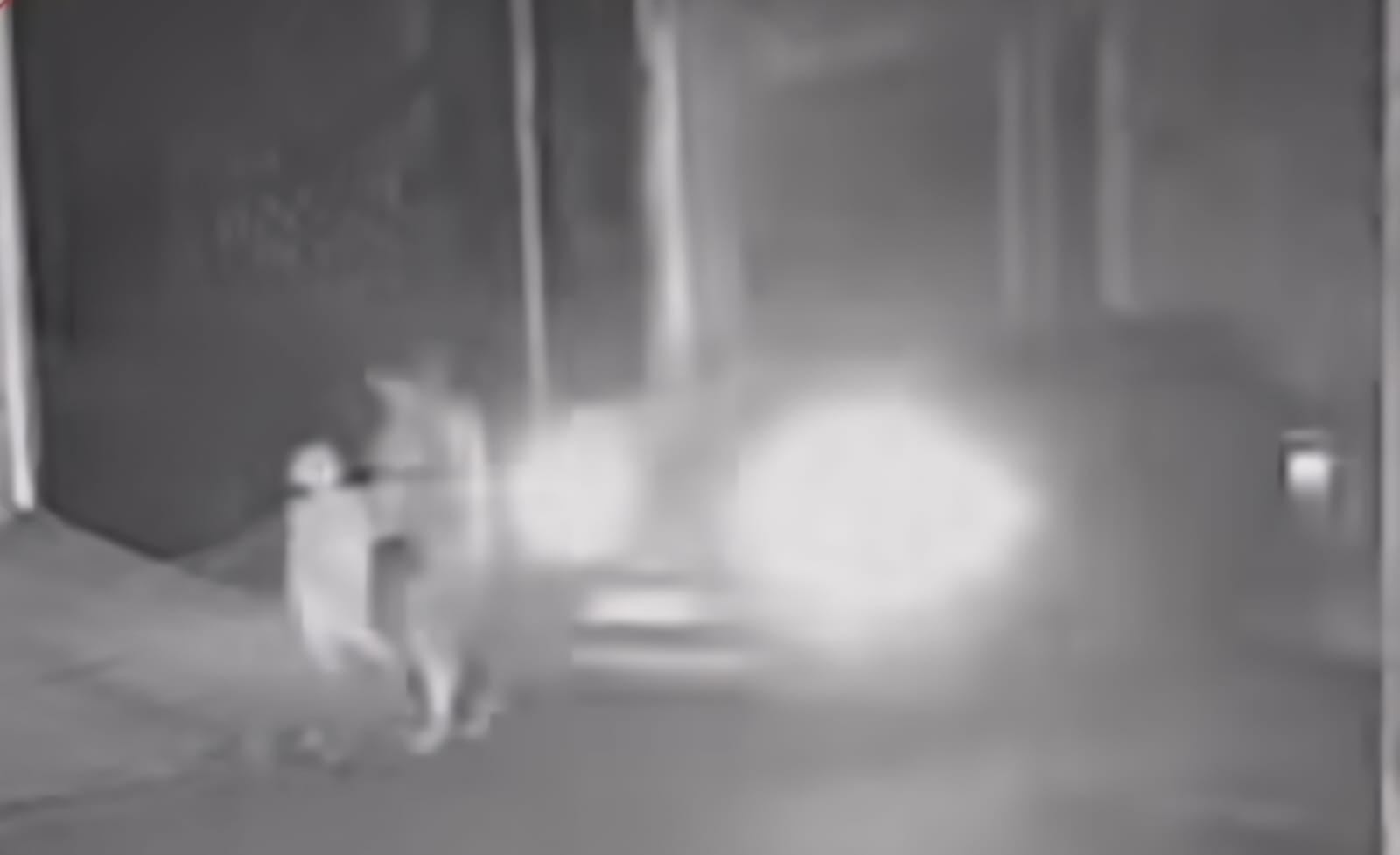 Grávida de gêmeos é atropelada enquanto caminhava com criança; motorista fugiu