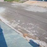 Câmeras de segurança flagram cachorrinha sendo abandonada em Piracicaba