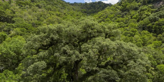dji_0467-3