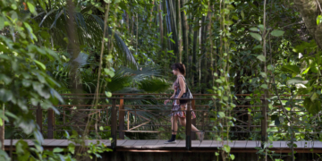 Reportagem de Estreia: Artigo Estudantil Chega ao Presidente Sarney