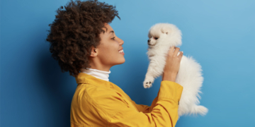 Cães Espelham Donos: Personalidade e Hábitos Compartilhados, Revela Estudo da USP