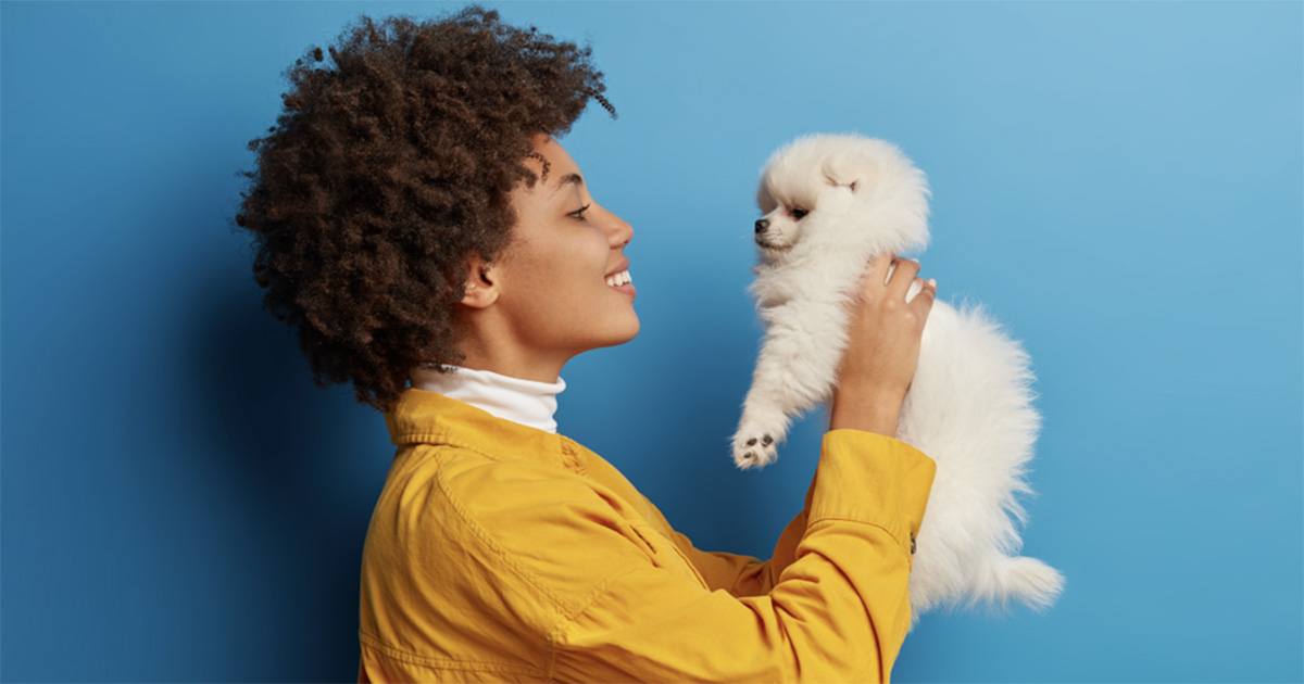 Cães Espelham Donos: Personalidade e Hábitos Compartilhados, Revela Estudo da USP