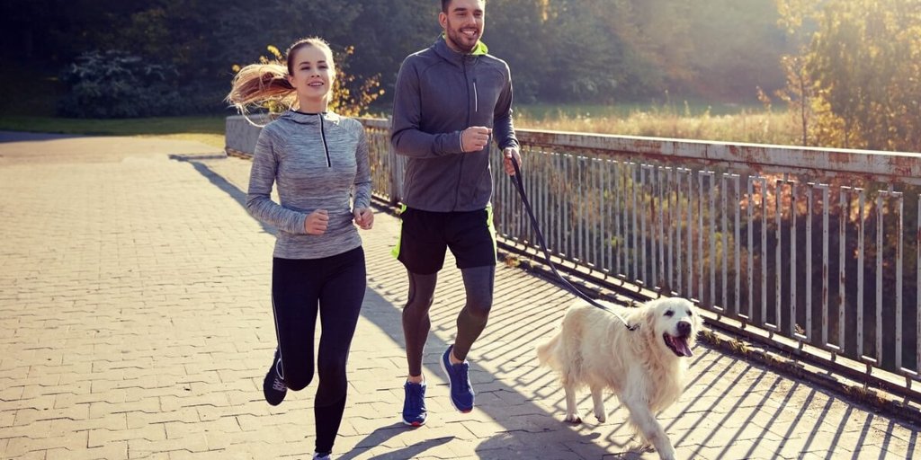 1ª Cãominhada une diversão, saúde e solidariedade em Piracicaba