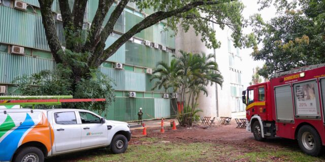 Resultado da Quina 6885 de segunda-feira (24/11): prêmio acumula para R$ 6,8 milhões