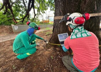 Portal do Município de Piracicaba