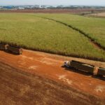 Raízen amplia iniciativas de segurança e produtividade no transporte e colheita de cana