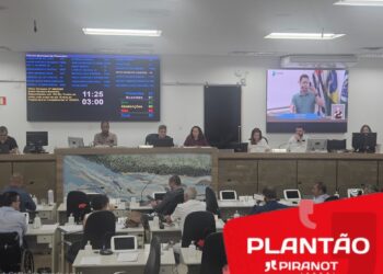 Foto: Andrey Moral/PIRANOT