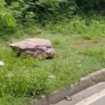 Rochas caem da Pedreira do Bongue e assustam motoristas em Piracicaba