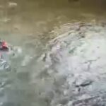 Câmera registra o momento em que motociclista que morreu é levado pela enxurrada em Piracicaba