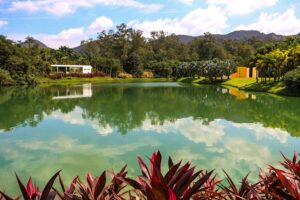 inhotim-9-dicas-para-voce-aproveitar-ao-maximo-esse-lugar