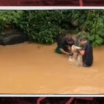 Trio é filmado se arriscando para pescar no ilegalmente no Rio Piracicaba durante piracema