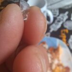 Cliente encontra vidro em marmita de restaurante em Piracicaba