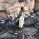 Gatos são encontrados abandonados e em condições insalubres dentro de casa em Piracicaba