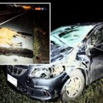 Cavalo morre atropelado na rodovia Piracicaba–Charqueada e carro fica destruído