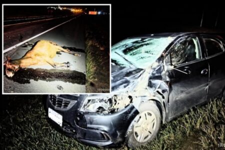 Cavalo morre atropelado na rodovia Piracicaba–Charqueada e carro fica destruído