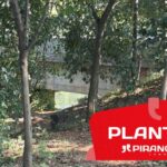 Homem de 56 anos é encontrado morto sob ponte em Piracicaba