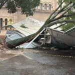 Árvore de grande porte cai sobre tendas na Praça da Catedral após forte chuva em Piracicaba