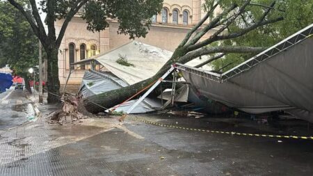 Árvore de grande porte cai sobre tendas na Praça da Catedral após forte chuva em Piracicaba