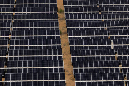 Economia verde supera US$ 10 trilhões em receita, mas efeito no Brasil é incerto