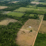 Lula entrega 1.390 títulos de terra e anuncia pacote de R$ 313 milhões para reforma agrária em MS