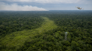 Fundo Amazônia aprova R$ 1,3 bi ao ano e expõe gargalo