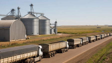 Produtores de Mato Grosso pressionam Senado por mudança no frete mínimo