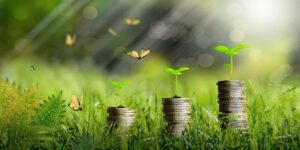 BNDES mira leilão de baterias com R$ 27 bilhões do Fundo Clima