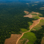 MDA anuncia 513 títulos rurais e crédito para assentamentos no Pará