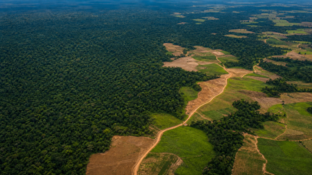 MDA anuncia 513 títulos rurais e crédito para assentamentos no Pará