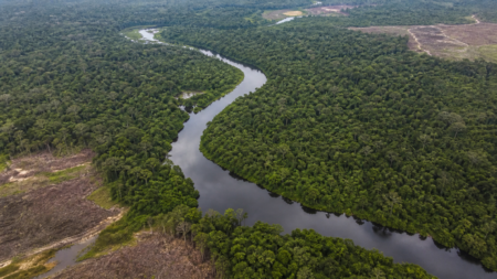 Reino Unido reforça Fundo Amazônia com R$ 500 milhões