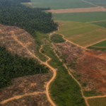 Câmara debate relação entre fundos de investimento e crimes ambientais no agro