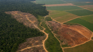 Câmara debate relação entre fundos de investimento e crimes ambientais no agro