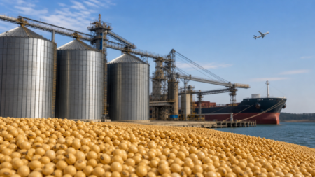 Soja do Paraná soma US$ 2,94 bi em exportações até maio, com alta de 8%