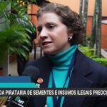 Pirataria de sementes pressiona pesquisa e acende alerta de R$ 10 bi no agro
