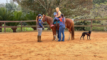 Cavalos sentem o cheiro do medo humano, mostra estudo francês