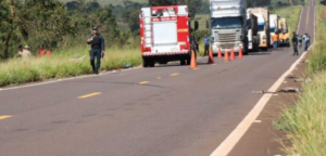 Acidentes com animais sobem 14% em rodovias da região de Campinas