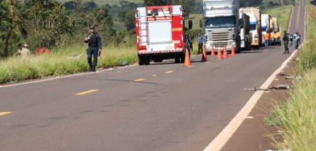 Acidentes com animais sobem 14% em rodovias da região de Campinas