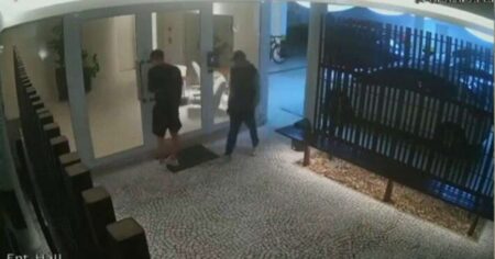 Quadrilha usa controle clonado para invadir condomínio de luxo em SP