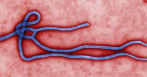 OMS acelera resposta ao Ebola no Congo com plano de US$ 518 milhões