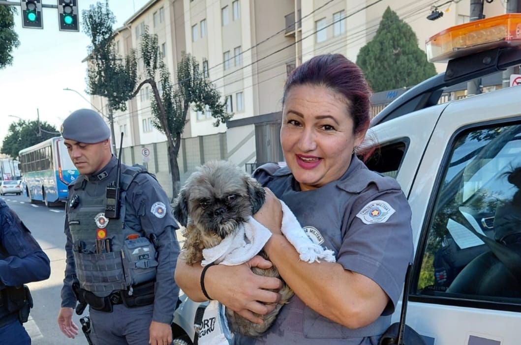 Polícia Militar e Guarda Civil resgatam cachorro preso em córrego em Piracicaba