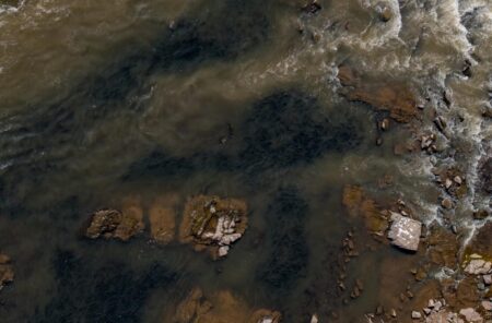 Videomaker registra cena impressionante de cardume de peixes no Rio Piracicaba