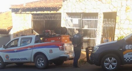 Filhote é resgatada amarrada pelo pescoço, sem água e comida em Rio das Pedras; tutor perde a guarda e responderá por maus-tratos