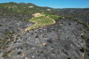 França registra 25 mil hectares queimados por incêndios florestais