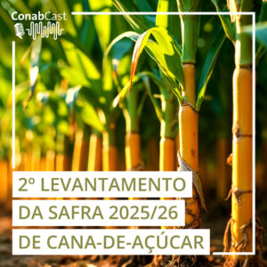 Safra de cana-de-açúcar recua 5,1% e Conab projeta novo mínimo para 2025/2026