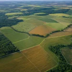 MapBiomas identifica R$ 92,4 bi em crédito rural em áreas com alerta ambiental