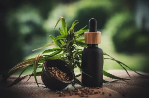 Supremo vai definir regra para cannabis medicinal no SUS