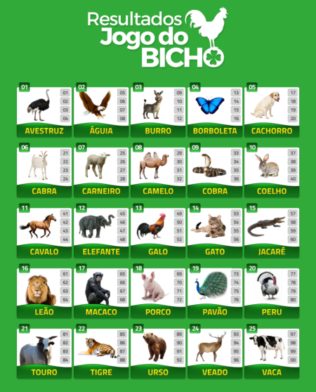Resultado do Jogo do Bicho RJ hoje, 20/07: 4555 sai no 1º prêmio