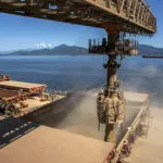 Soja: exportações sobem 6,7% no semestre e Anec projeta 114 milhões de t em 2026