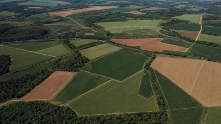 Comissão do Senado debate mudança na cobrança do imposto rural
